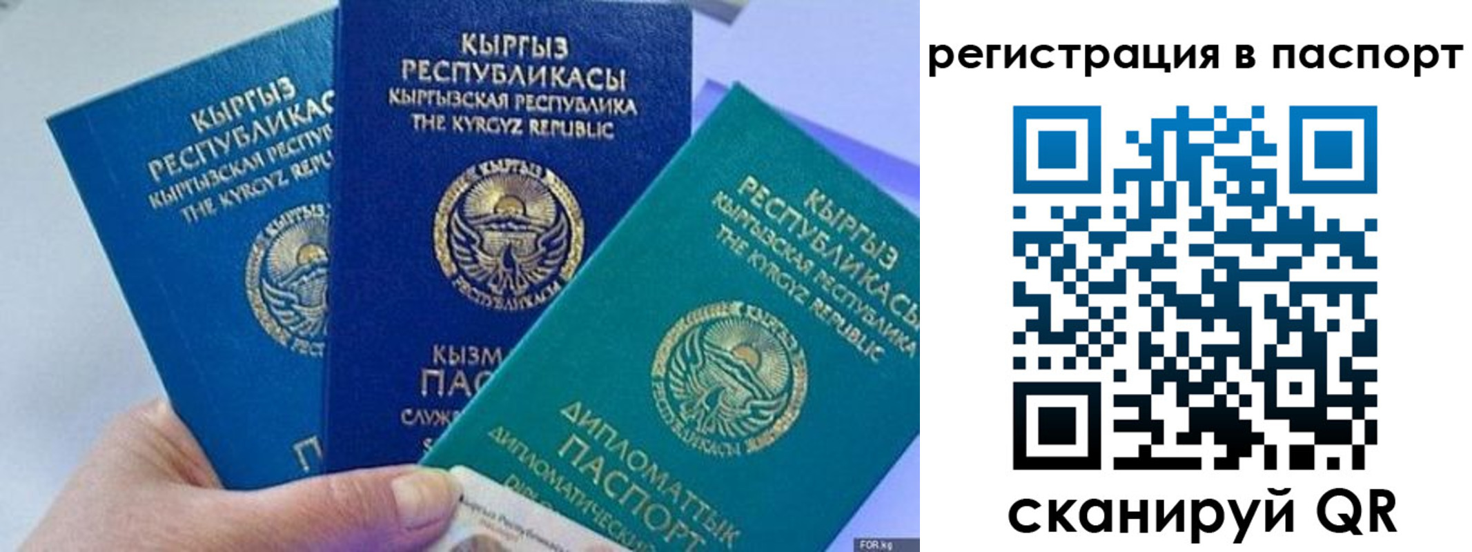 прописка 2025 в Завитинске